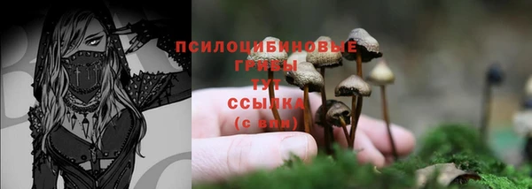 герыч Алексин