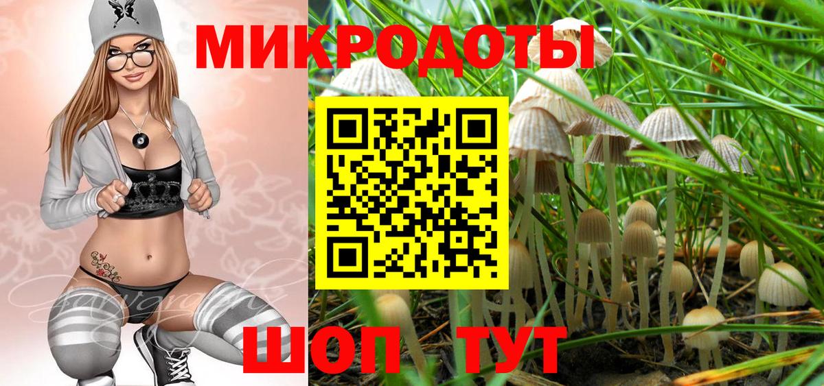 Кириши  Галлюциногенные грибы Psilocybe  наркотики  Вход с VPN 