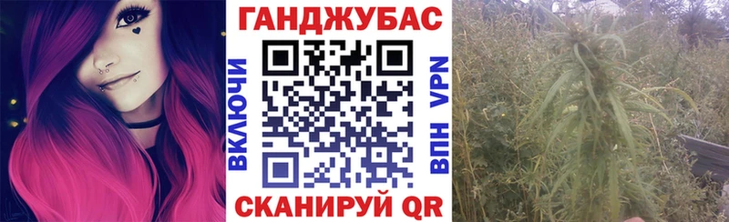 Конопля сатива Кириши